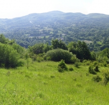 Vista da una stradina sull'appennino emiliano