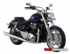 Triumph Thunderbird